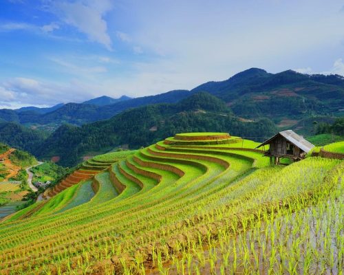 Θα γνωρίσουμε τη Σάπα, έναν από τους πιο δημοφιλείς προορισμούς της χώρας. Χρώματα, πολιτισμός, ήθη και έθιμα την κάνουν πραγματικά ξεχωριστή ταξίδι στο Βιετνάμ Sa Pa ή Sapa, η εμπειρία της Βιετναμέζικης αγροτικής ζωής | ExploroLoco